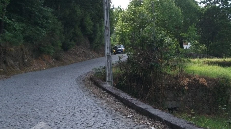 Terreno para Venda em Quintiães e Aguiar