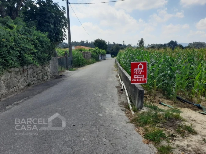 Terreno para Venda em Alvito (São Pedro e São Martinho) e Couto Foto 6
