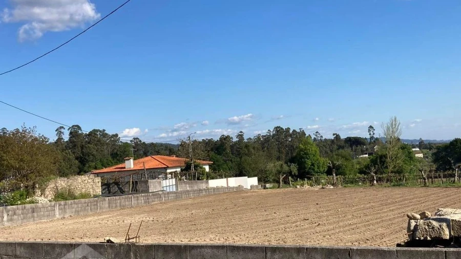 Terreno para Venda em Alvito (São Pedro e São Martinho) e Couto