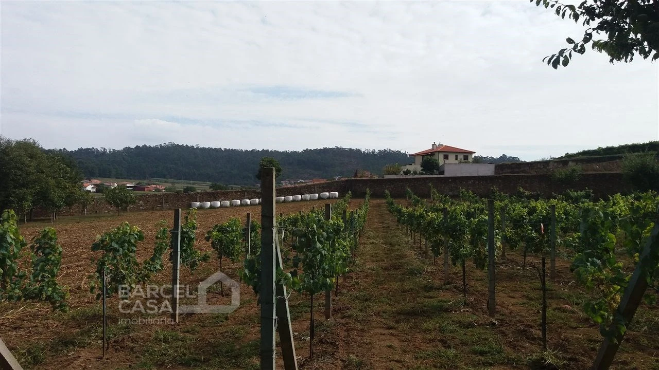 Terreno para Venda em Milhazes, Vilar de Figos e Faria Foto 2