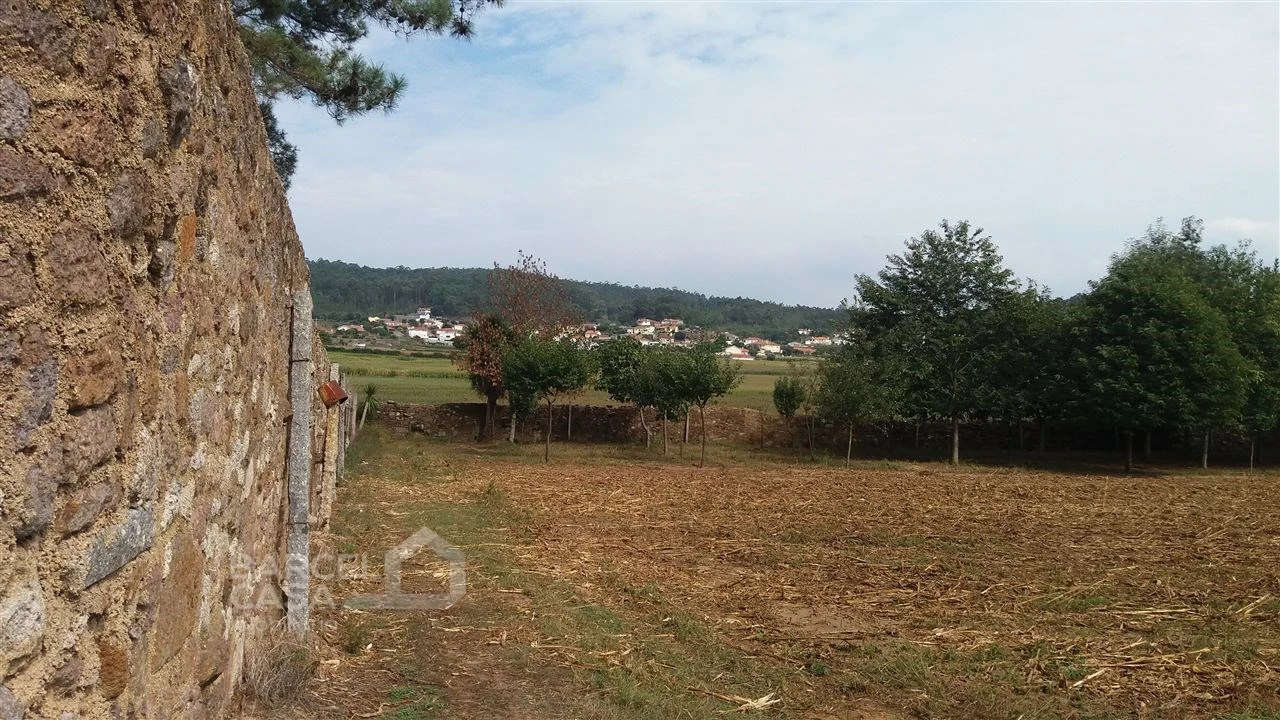 Terreno para Venda em Milhazes, Vilar de Figos e Faria Foto 3