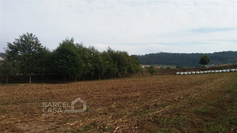 Terreno para Venda em Milhazes, Vilar de Figos e Faria