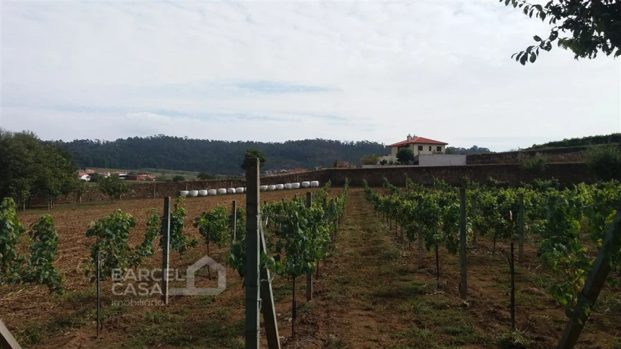 Terreno para Venda em Milhazes, Vilar de Figos e Faria Foto 2