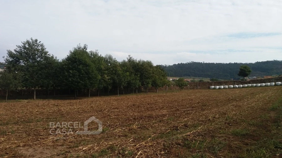 Terreno para Venda em Milhazes, Vilar de Figos e Faria