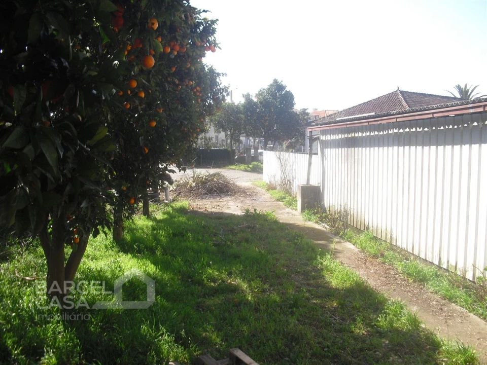 Terreno para Venda em Manhente Foto 2