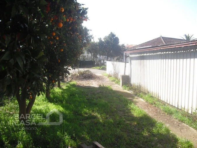 Terreno para Venda em Manhente Foto 2