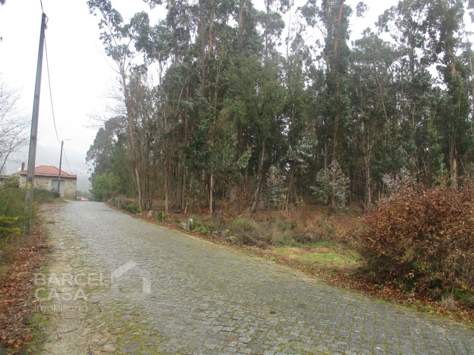 Terreno para Venda em Quintiães e Aguiar Foto 2