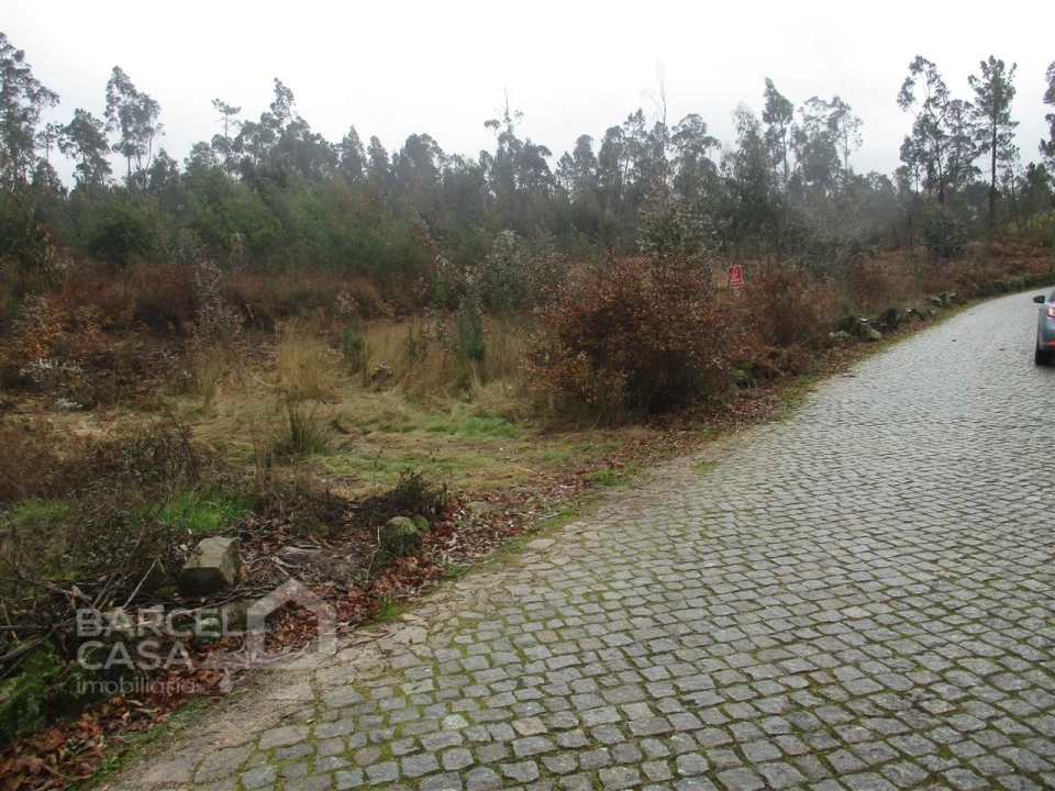 Terreno para Venda em Quintiães e Aguiar Foto 4