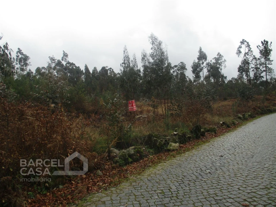 Terreno para Venda em Quintiães e Aguiar Foto 7