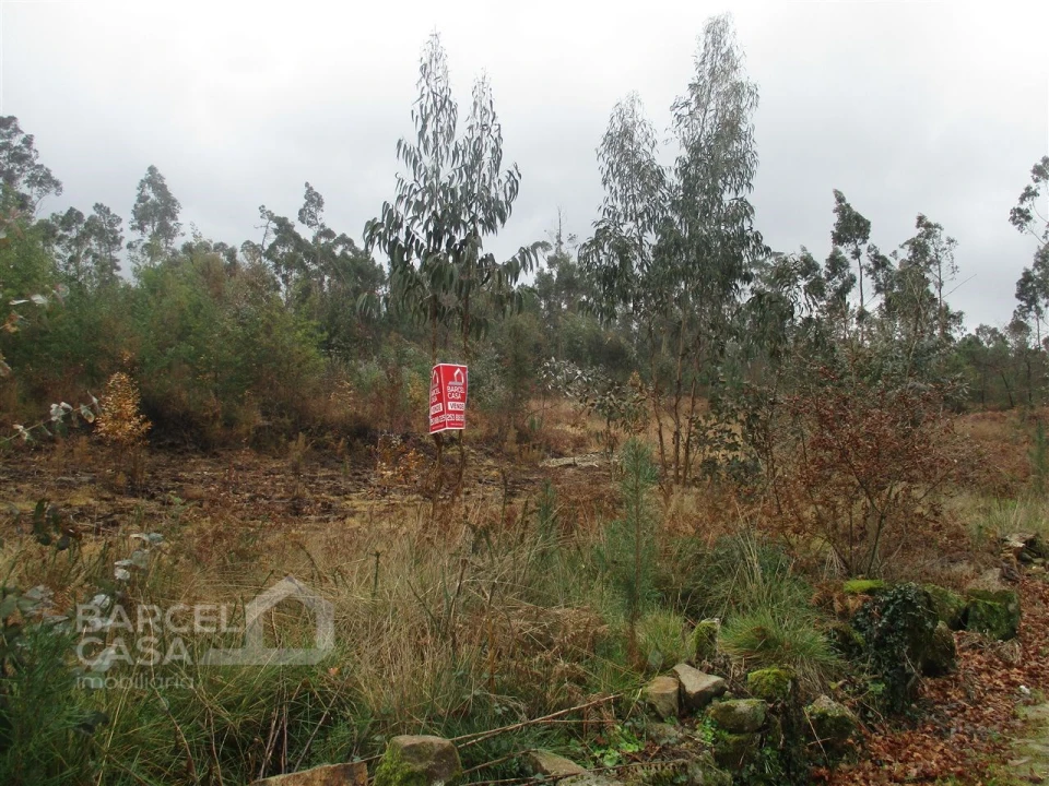 Terreno para Venda em Quintiães e Aguiar Foto 11