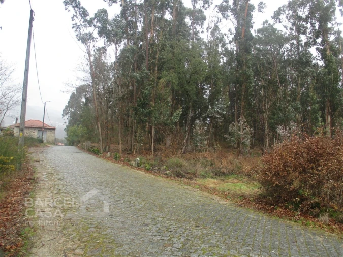 Terreno para Venda em Quintiães e Aguiar Foto 2