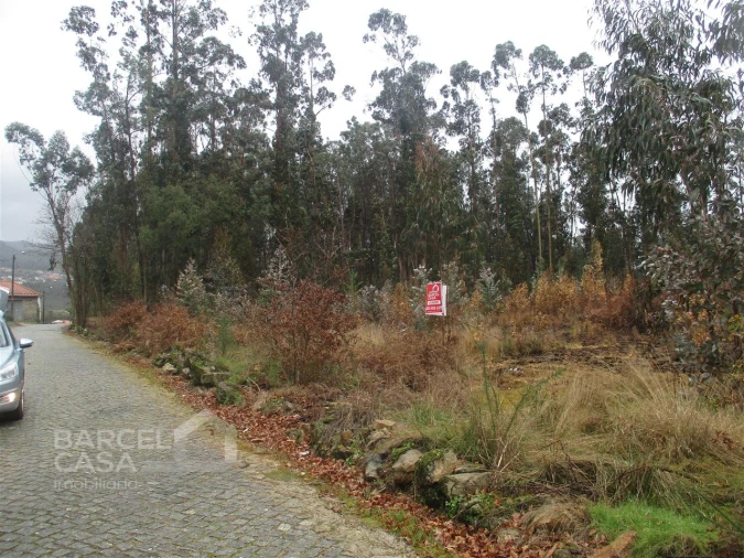 Terreno para Venda em Quintiães e Aguiar Foto 8
