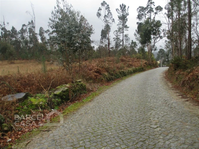 Terreno para Venda em Quintiães e Aguiar Foto 9