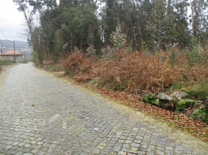 Terreno para Venda em Quintiães e Aguiar Foto 10