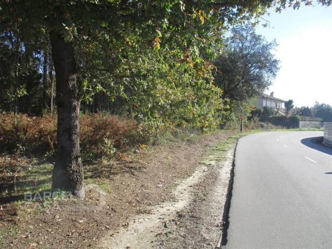 Terreno para Venda em Fragoso Foto 4