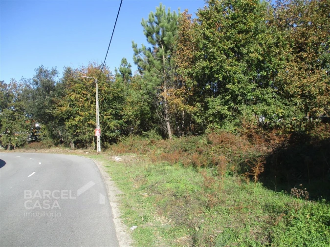 Terreno para Venda em Fragoso Foto 6