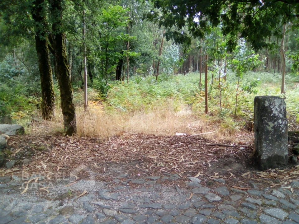 Terreno para Venda em Remelhe Foto 1