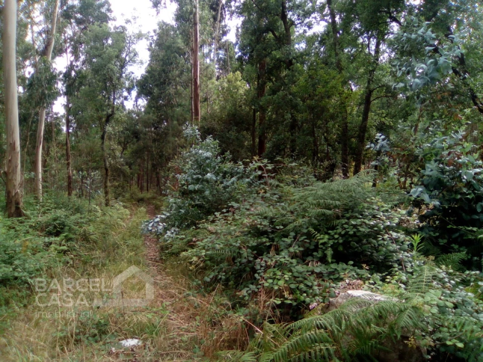 Terreno para Venda em Remelhe Foto 2