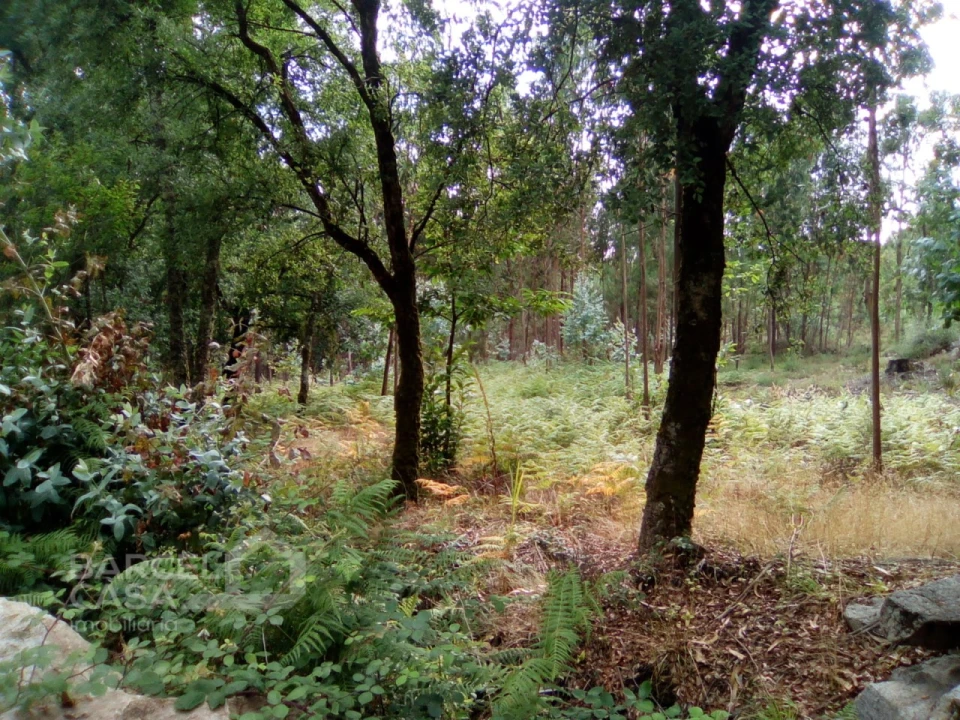 Terreno para Venda em Remelhe Foto 4