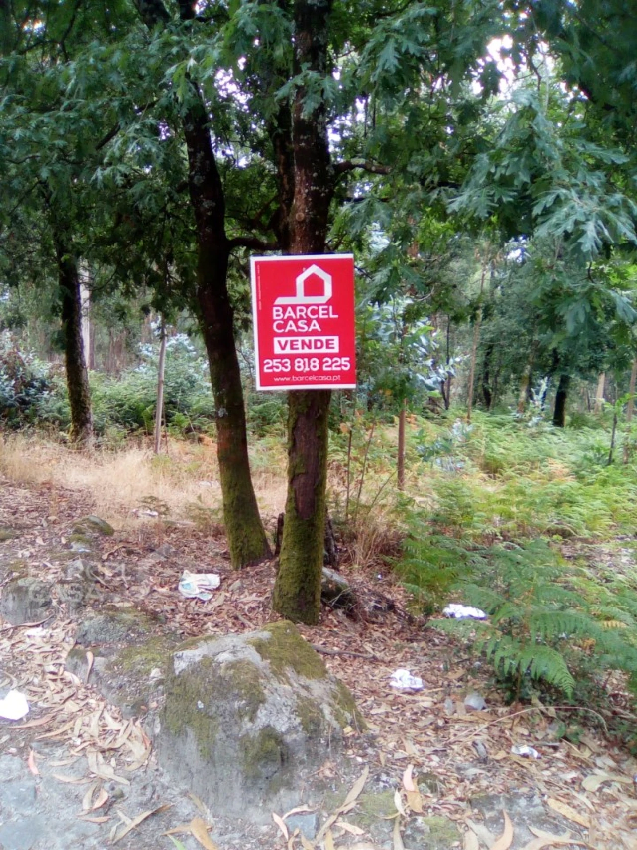 Terreno para Venda em Remelhe Foto 11