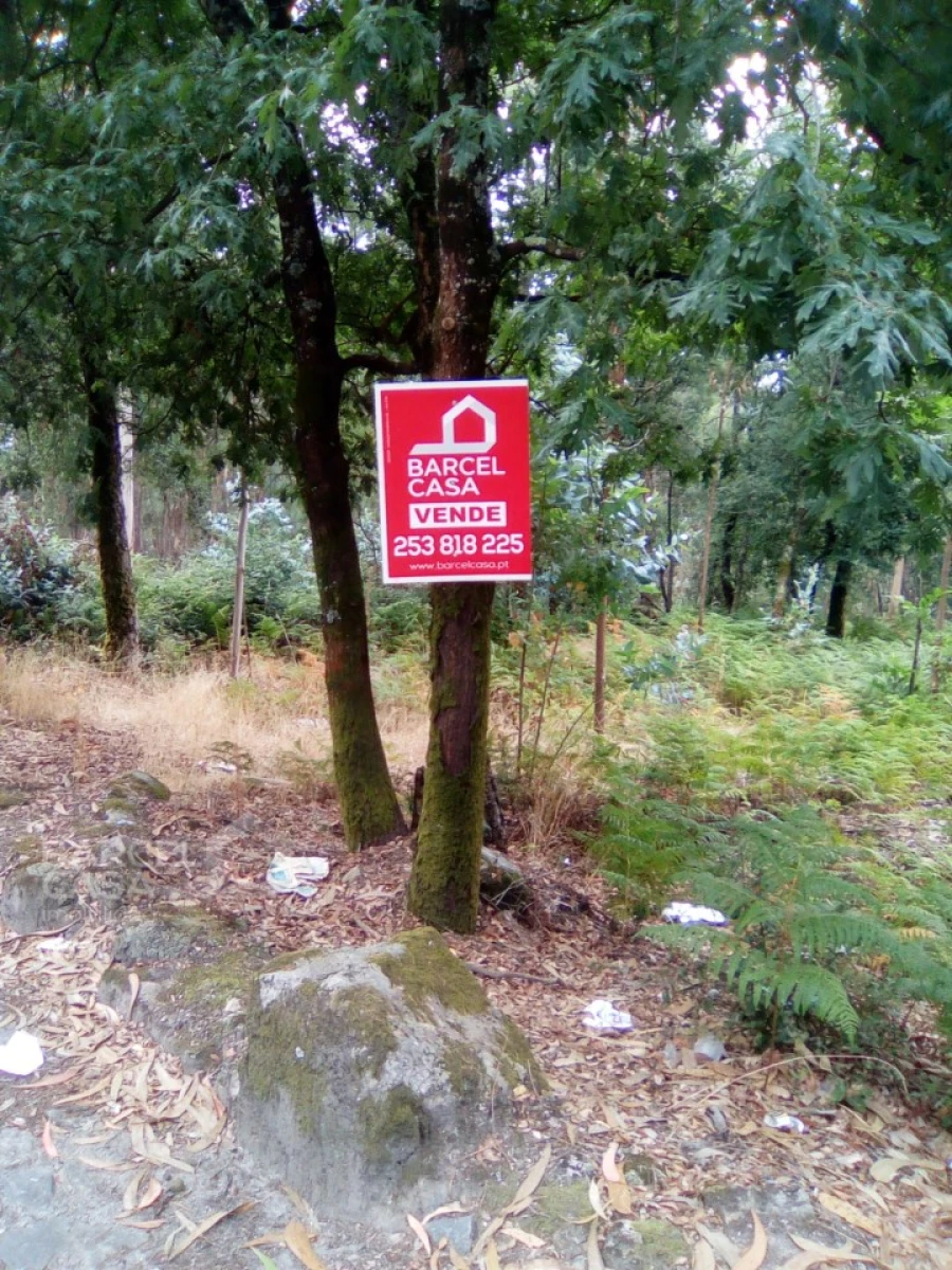 Terreno para Venda em Remelhe Foto 11