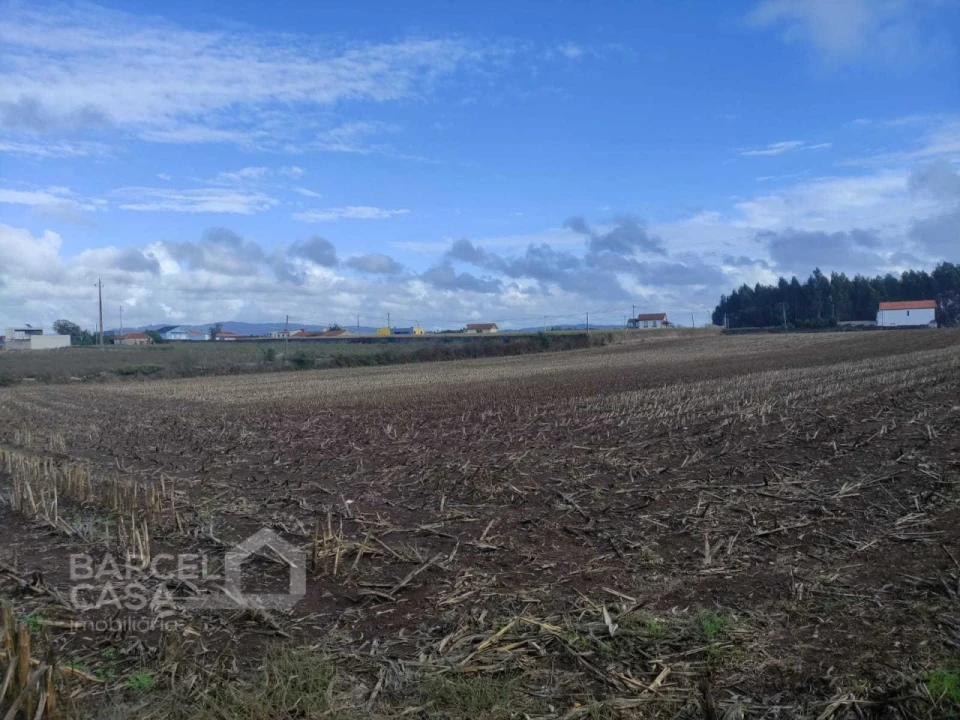 Terreno para Venda em Barqueiros Foto 2