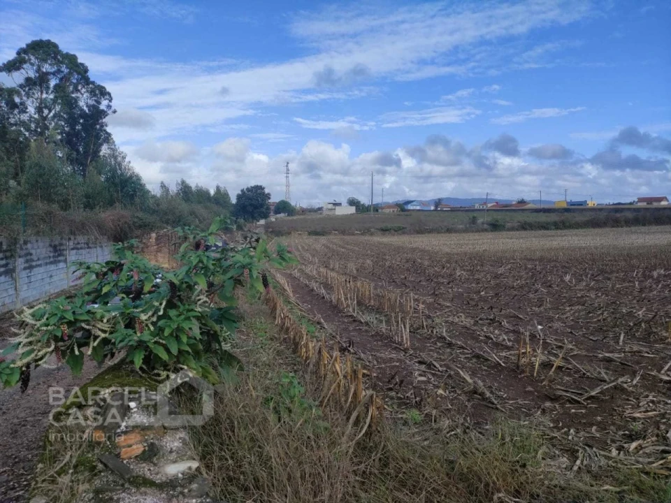 Terreno para Venda em Barqueiros Foto 3
