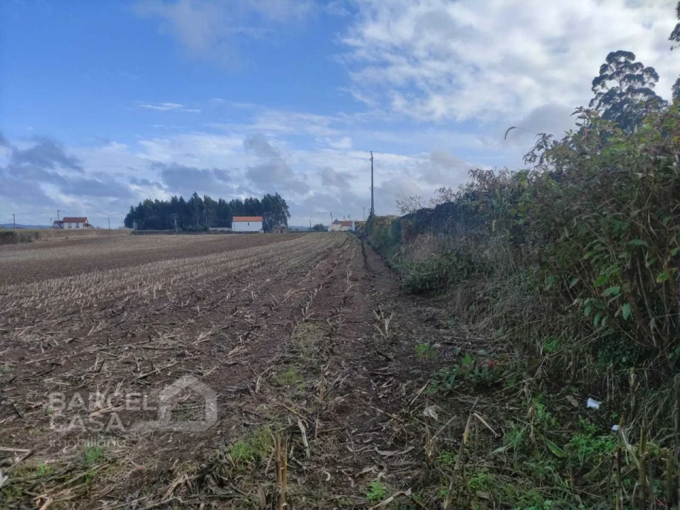 Terreno para Venda em Barqueiros Foto 5