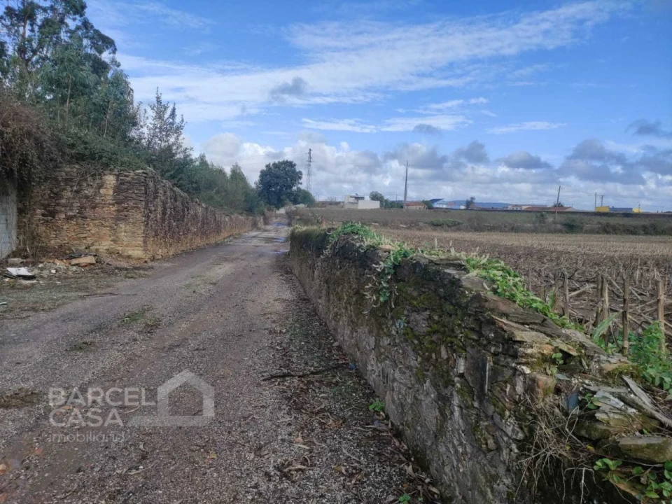 Terreno para Venda em Barqueiros Foto 1