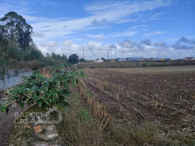 Terreno para Venda em Barqueiros Foto 3