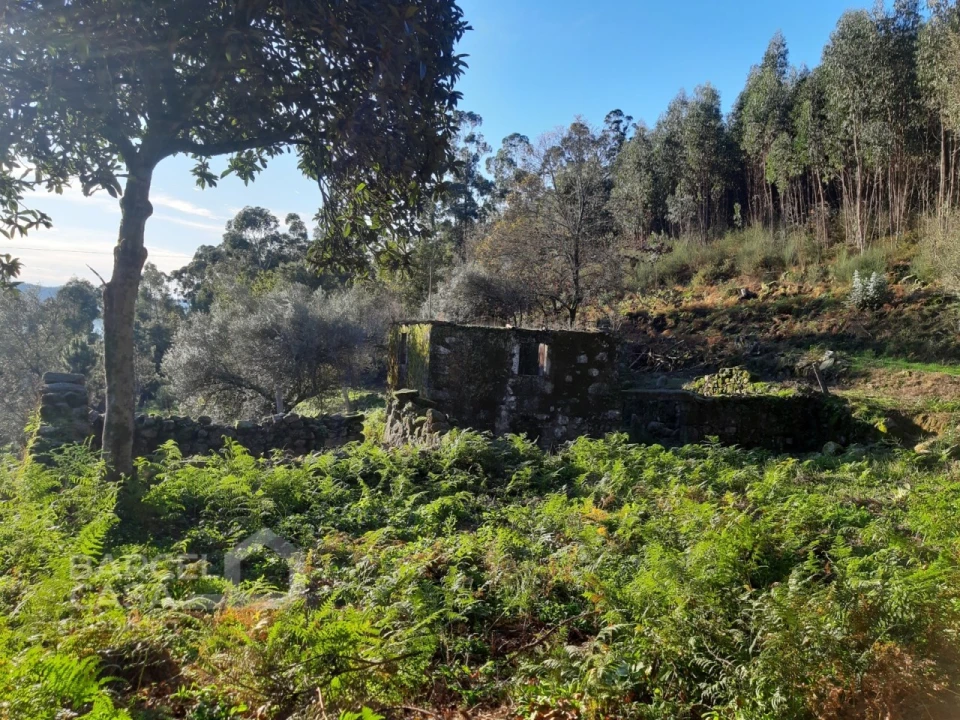 Terreno para Venda em Navió e Vitorino dos Piães Foto 11
