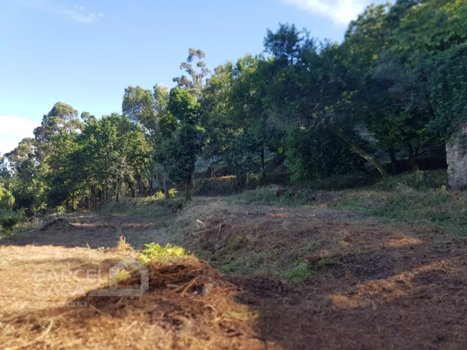 Terreno para Venda em Navió e Vitorino dos Piães Foto 1