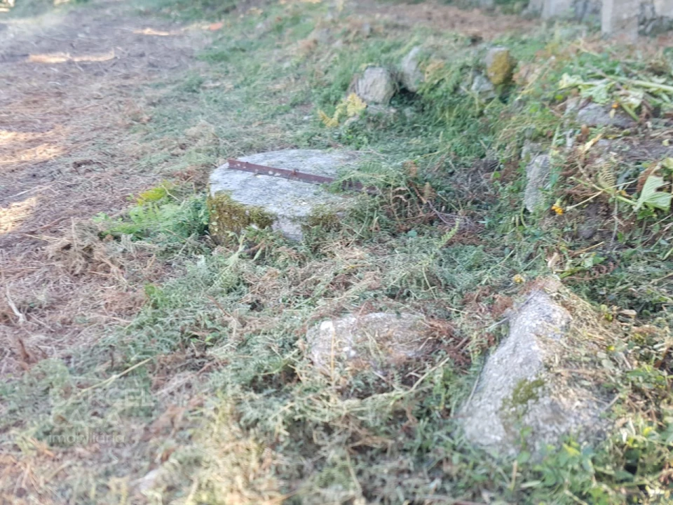 Terreno para Venda em Navió e Vitorino dos Piães Foto 5