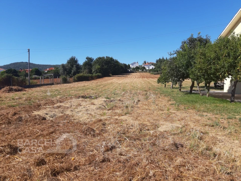 Terreno para Venda em Vila de Punhe Foto 1