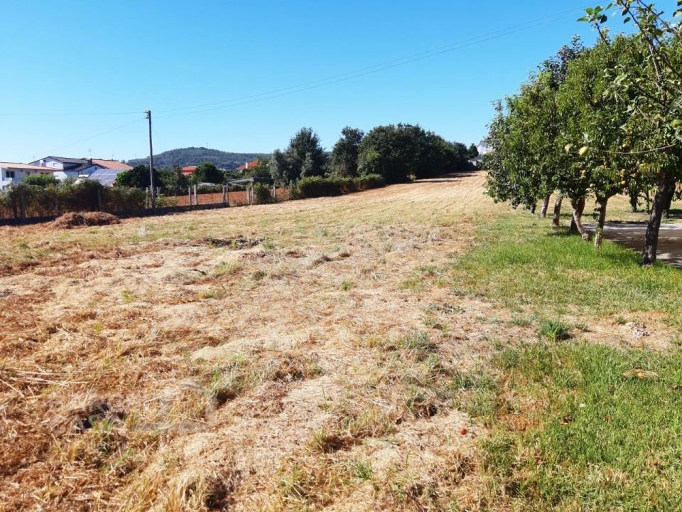Terreno para Venda em Vila de Punhe Foto 2