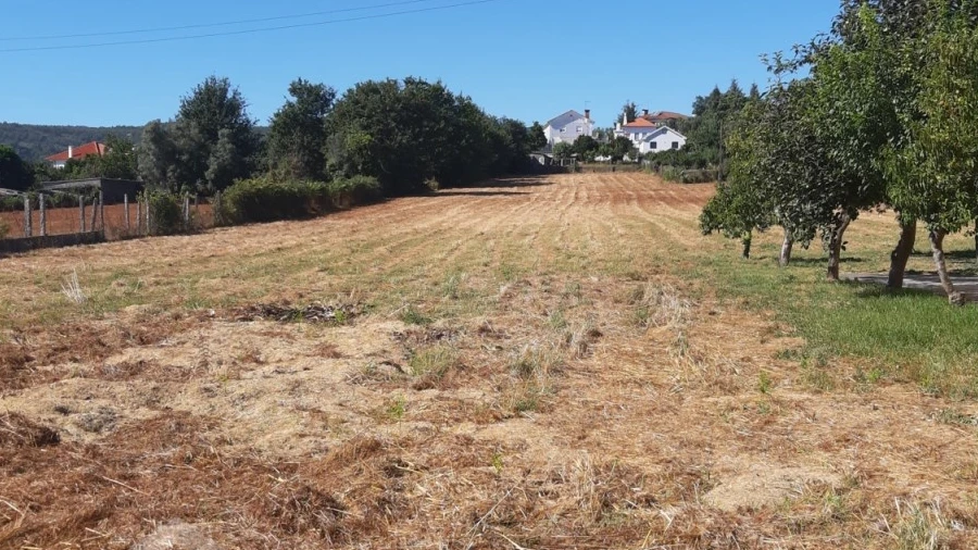 Terreno para Venda em Vila de Punhe
