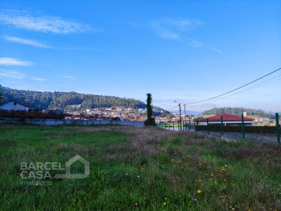 Terreno para Venda em Pereira Foto 2