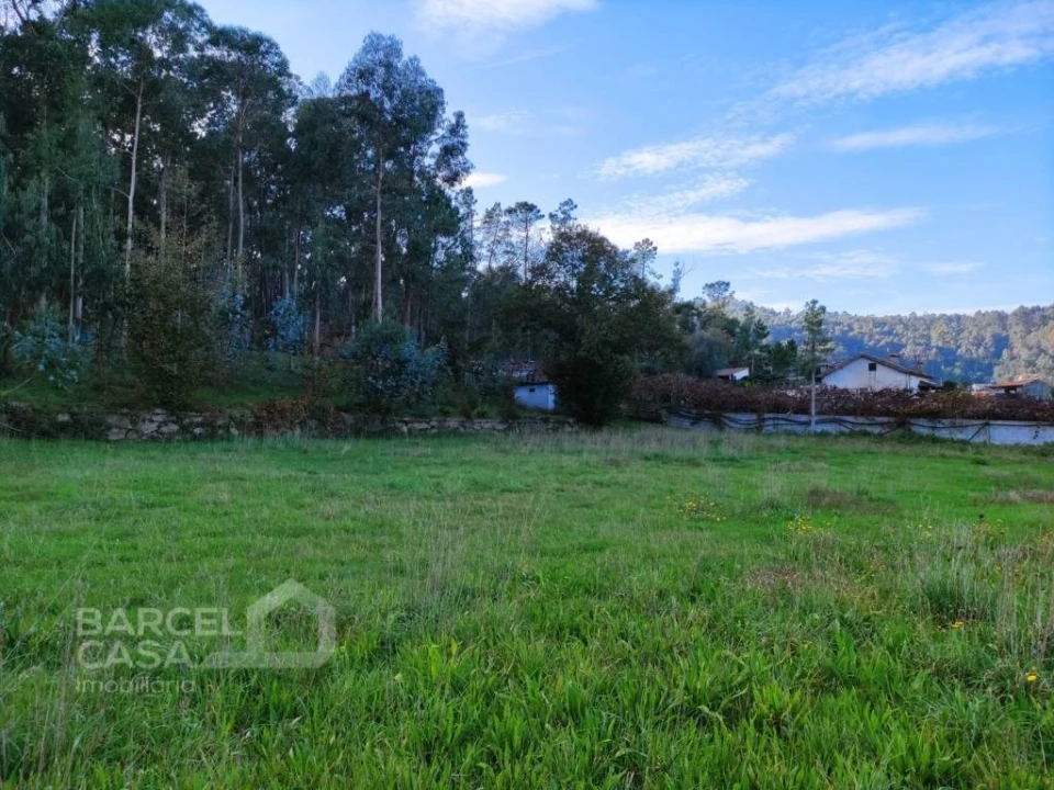 Terreno para Venda em Pereira Foto 3