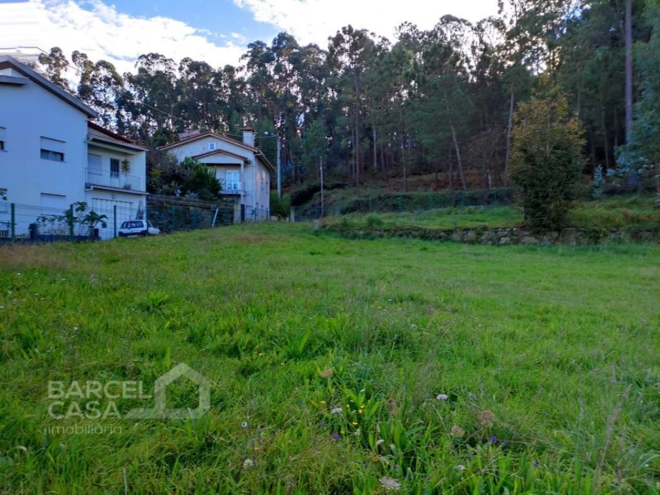 Terreno para Venda em Pereira Foto 4