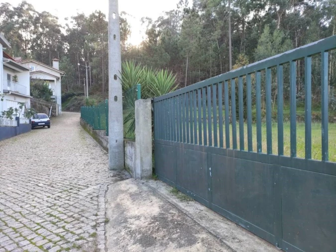 Terreno para Venda em Pereira Foto 5