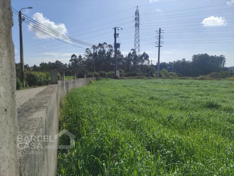 Terreno para Venda em Gemeses Foto 8