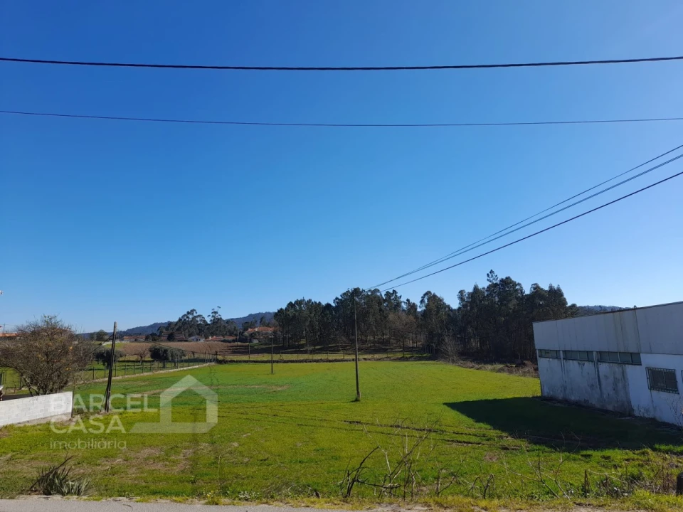 Terreno para Venda em Alvito (São Pedro e São Martinho) e Couto Foto 2
