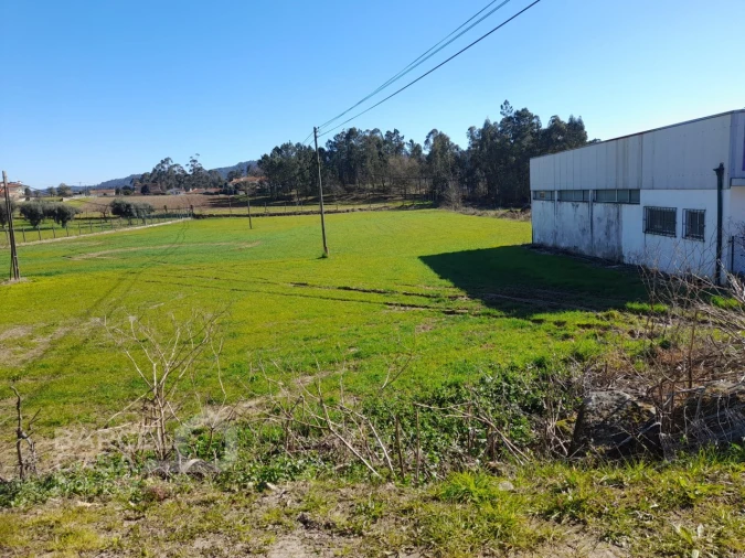 Terreno para Venda em Alvito (São Pedro e São Martinho) e Couto