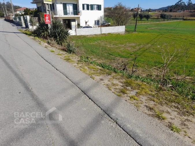 Terreno para Venda em Alvito (São Pedro e São Martinho) e Couto Foto 4