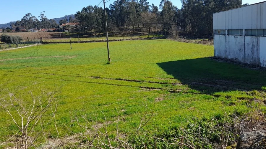 Terreno para Venda em Alvito (São Pedro e São Martinho) e Couto