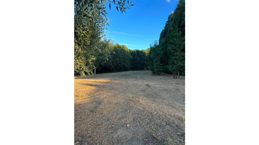 Terreno para Venda em Fragoso Foto 12