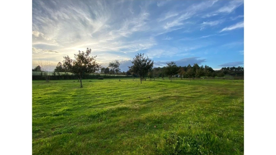 Terreno para Venda em Fragoso