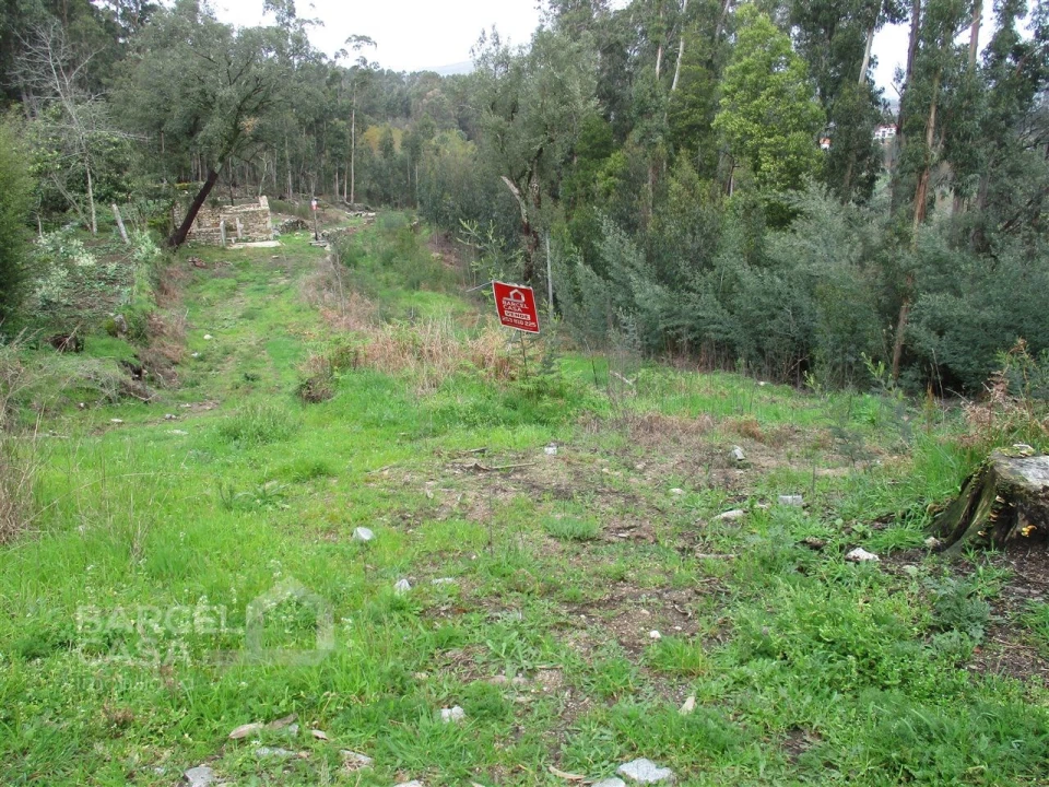 Terreno para Venda em Quintiães e Aguiar Foto 1
