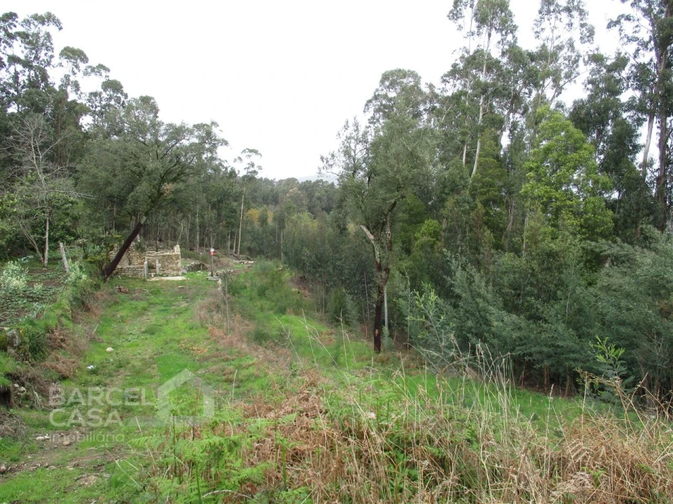 Terreno para Venda em Quintiães e Aguiar Foto 2