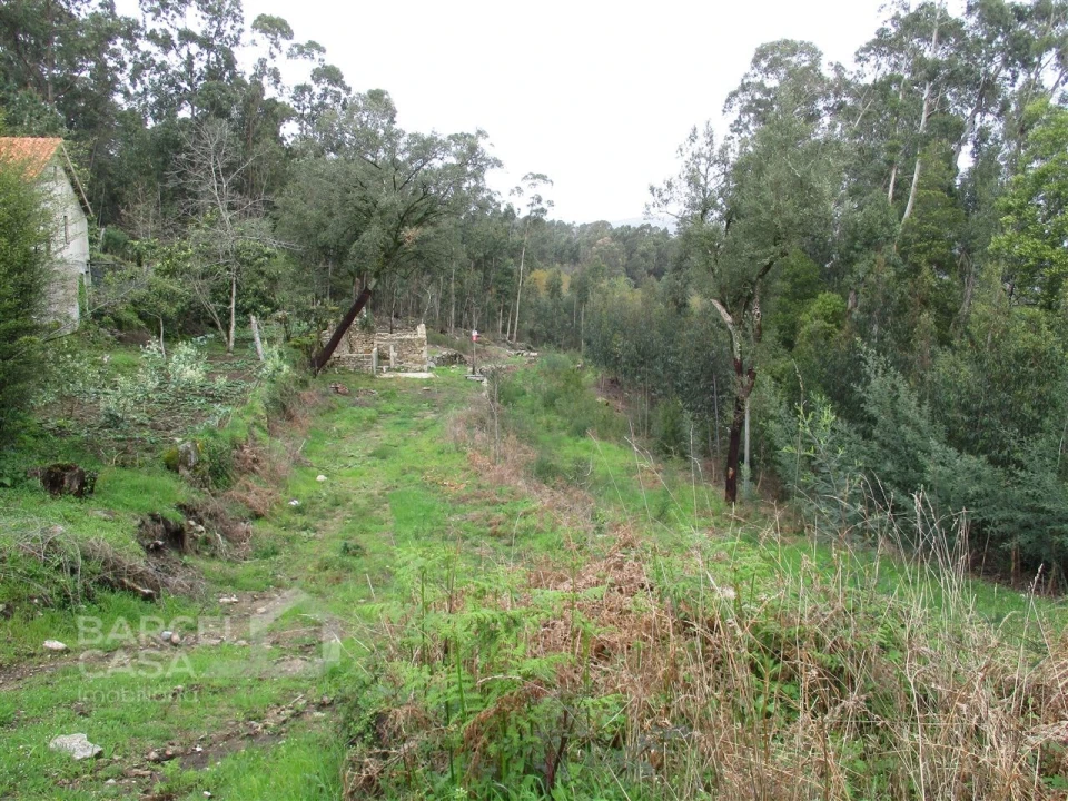 Terreno para Venda em Quintiães e Aguiar Foto 4